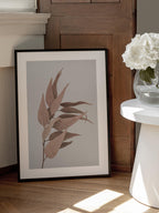 Dried Eucalyptus