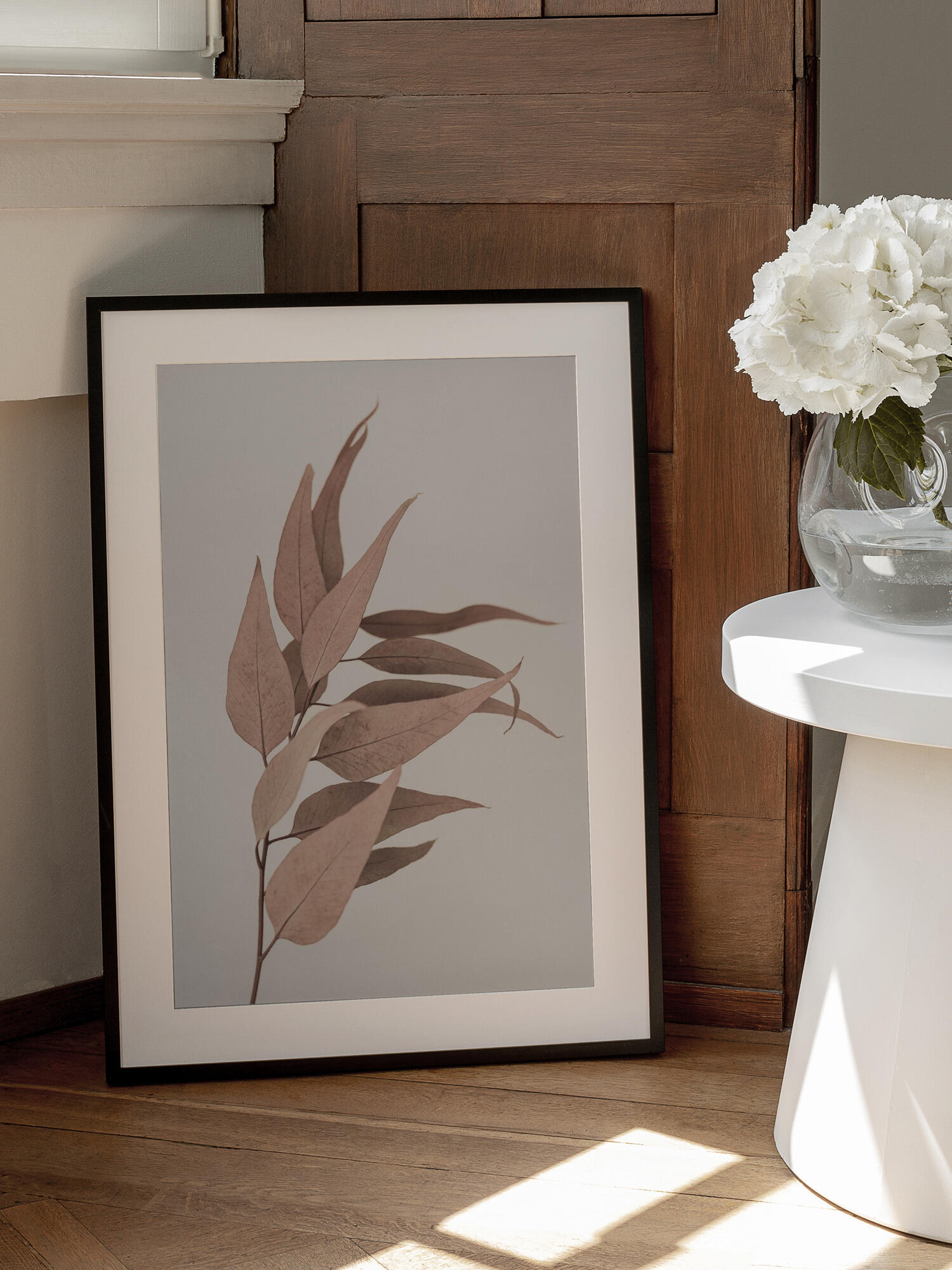 Dried Eucalyptus
