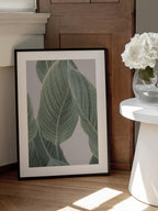 Calla Leaf