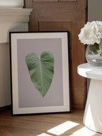 Tropical Leaf Blush