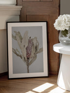 Banksia