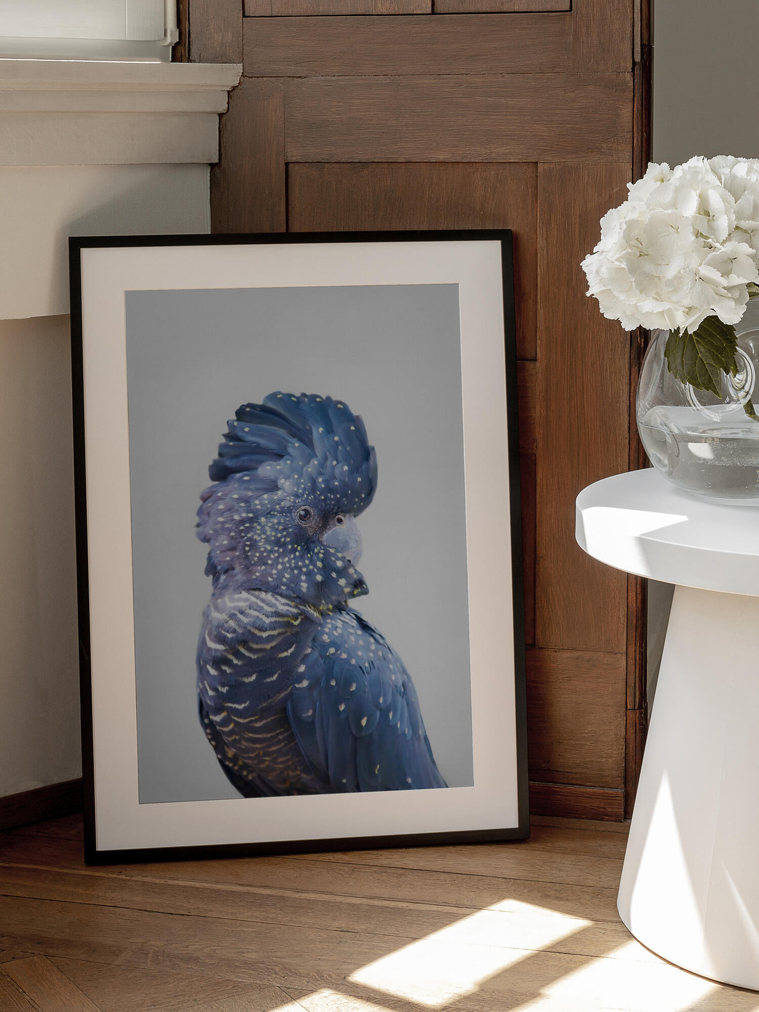 Black Cockatoo