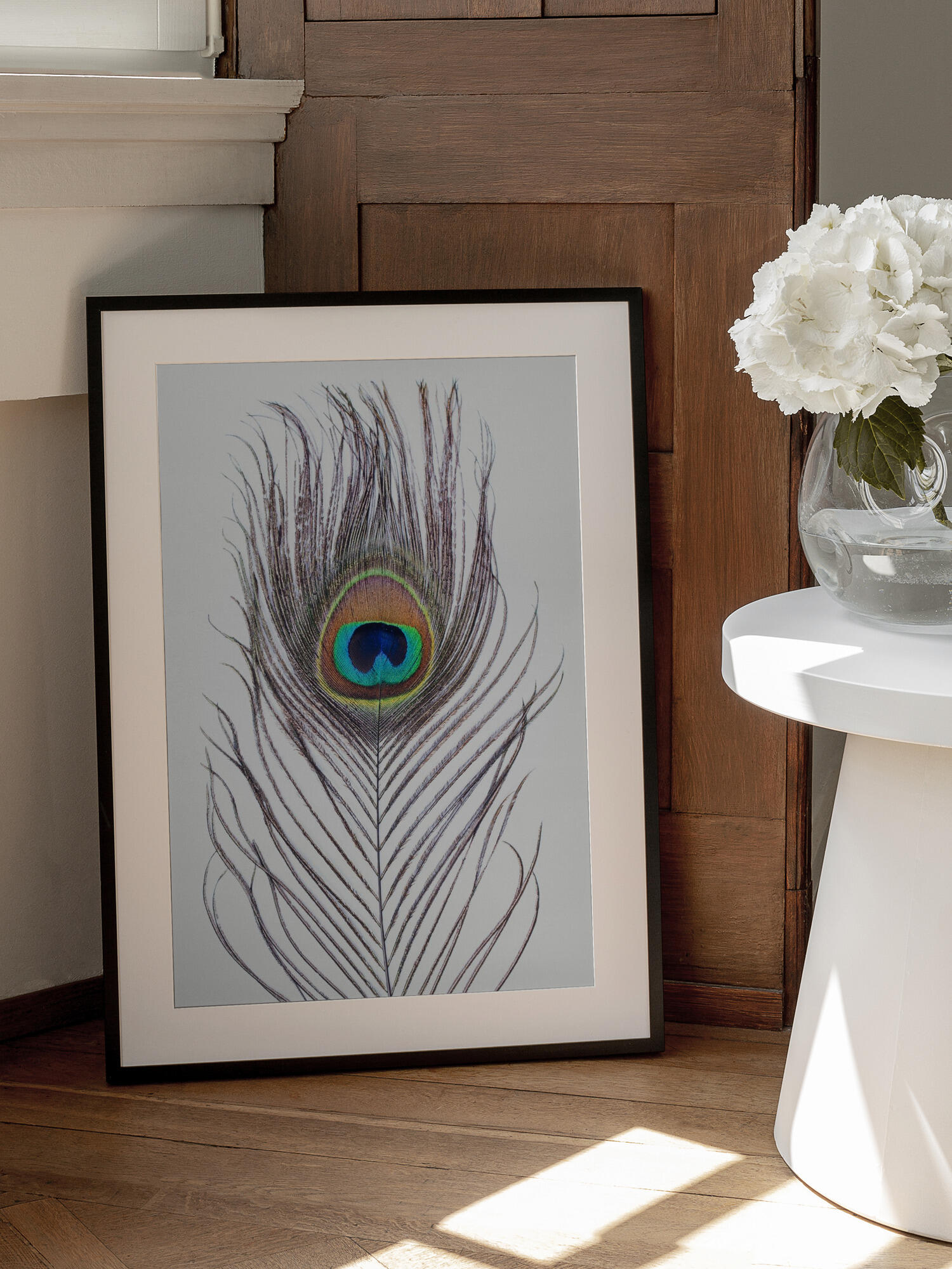 Peacock Feather