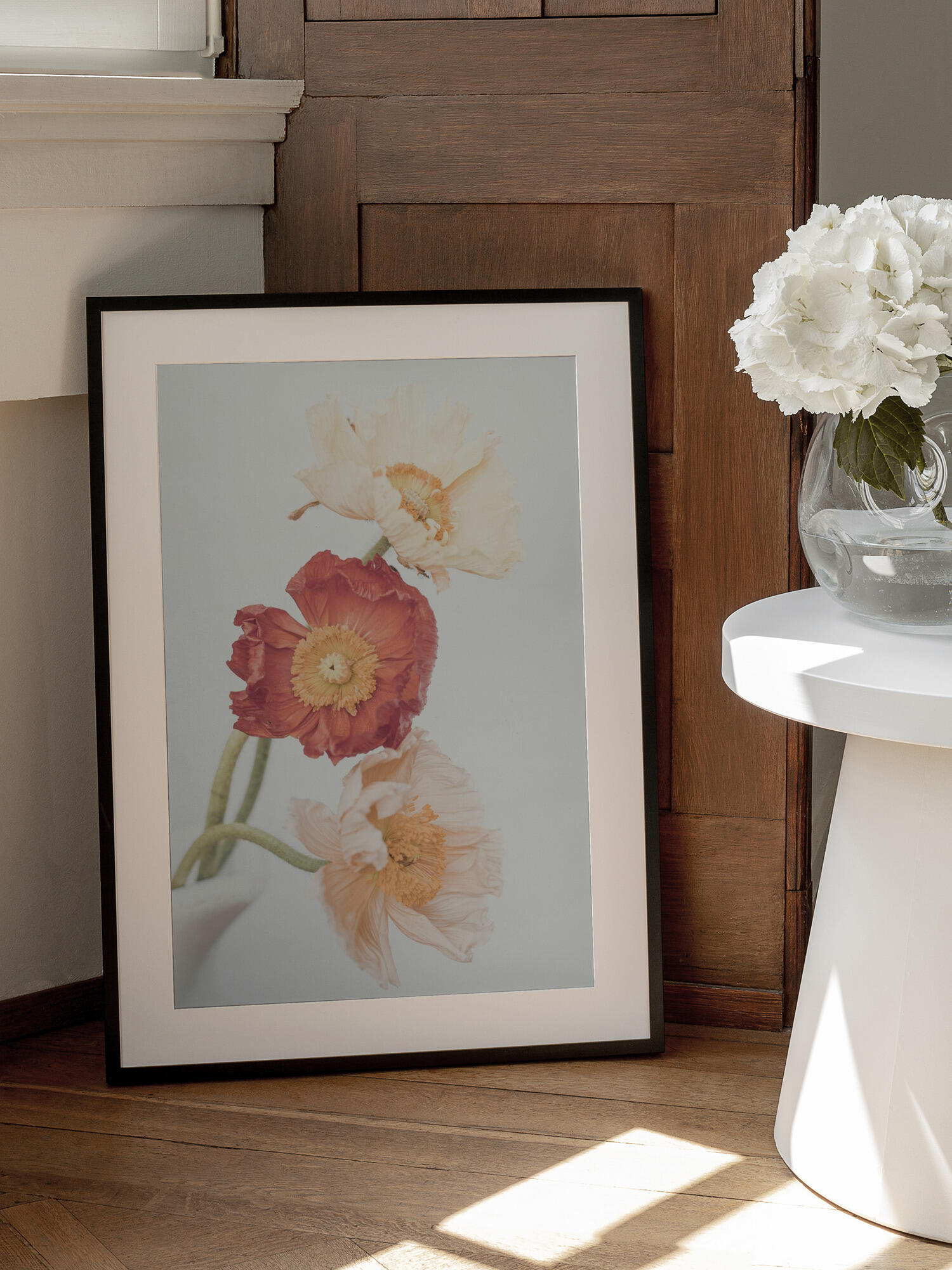 Poppies