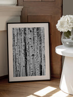 Birches