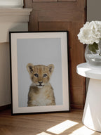 Baby Lion