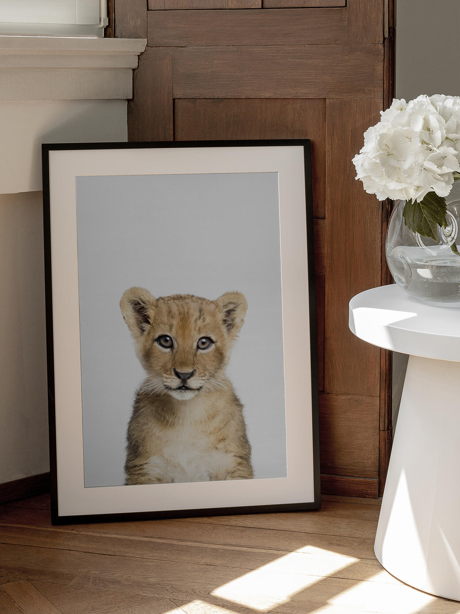 Baby Lion
