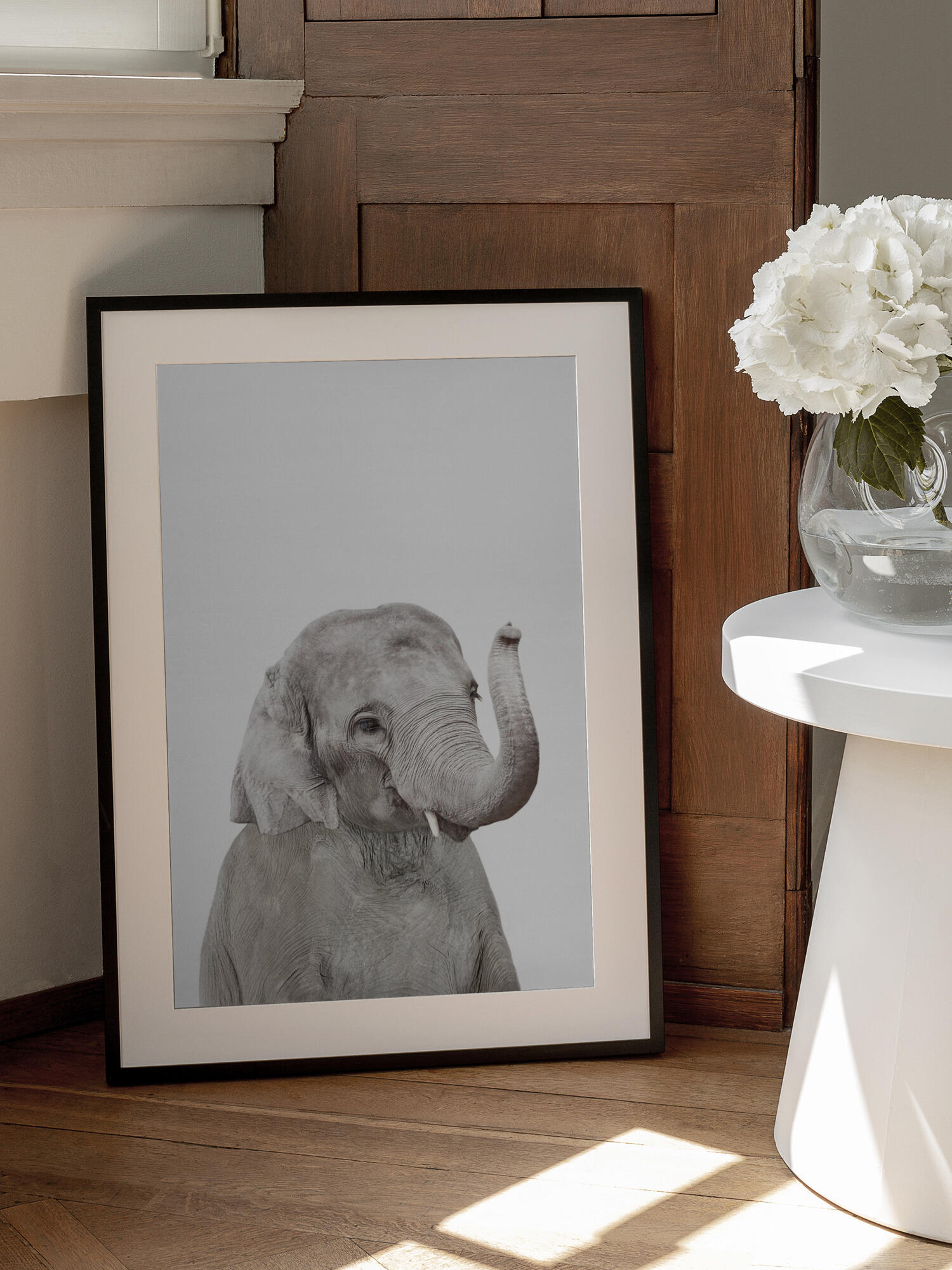 Baby Elephant