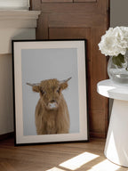 Baby Cow