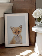 Baby Fox