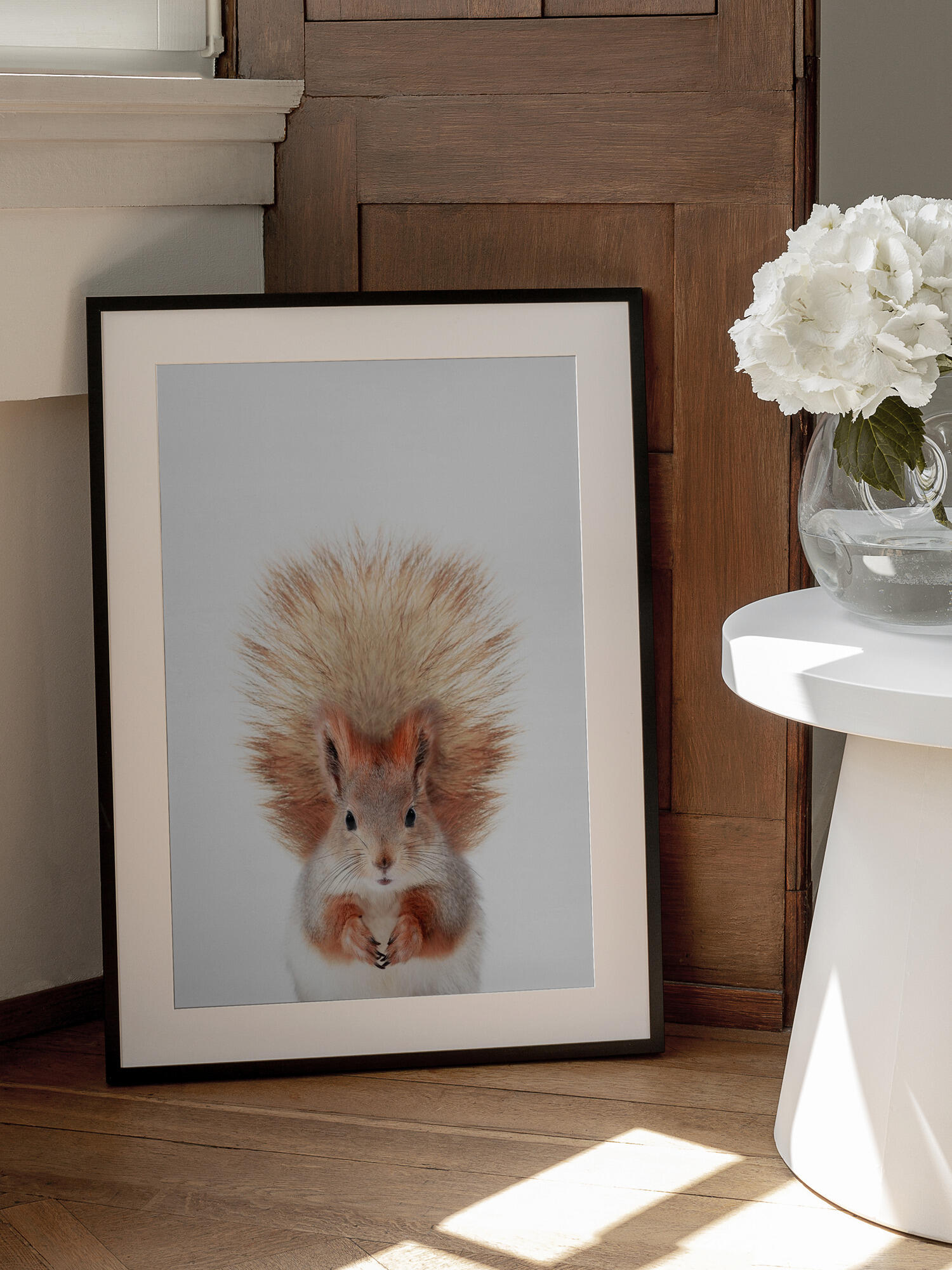 Baby Squirel