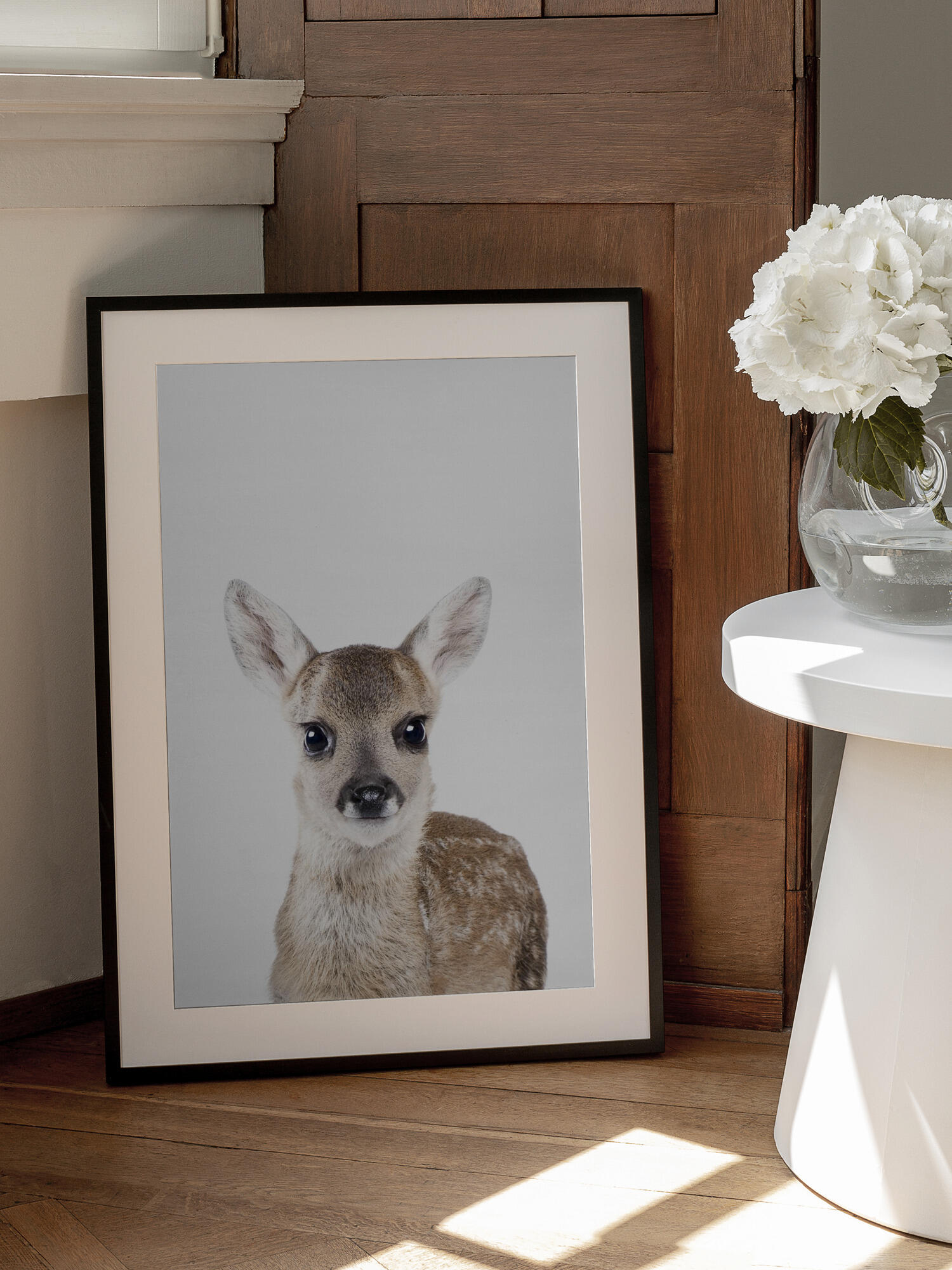 Baby Deer