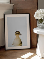 Baby Duck