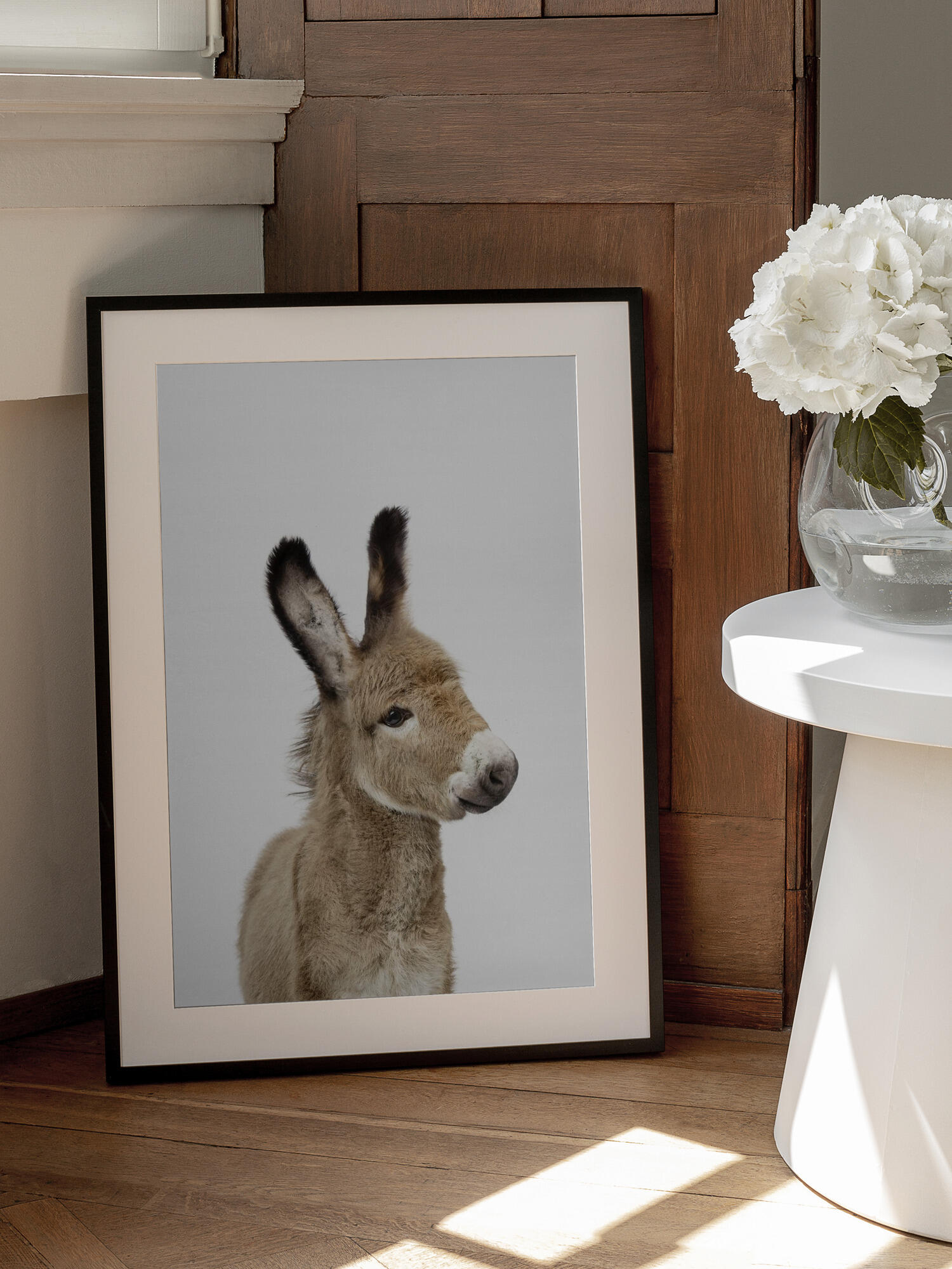 Baby Donkey