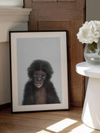 Baby Monkey