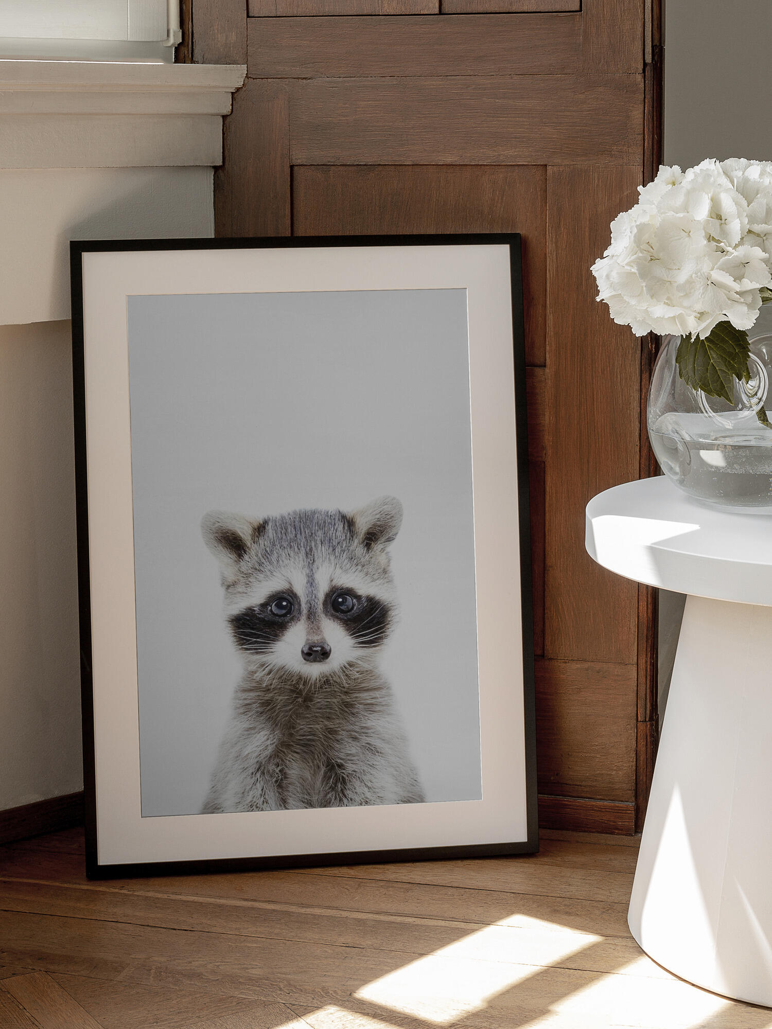 Baby Racoon