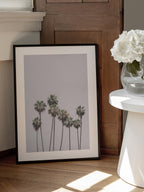 Blush Palms