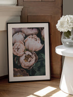 Coral Peonies