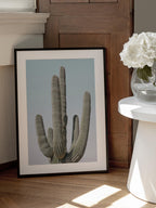 Saguaro