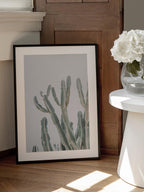 Sunrise Cactus