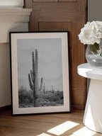 Saguaro B&amp;W