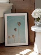 Sunny Cali Palm Tree