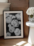 Peonies