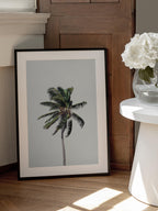 Windy Palm Tree