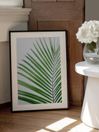 Green Palm Leaf