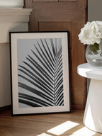 BW Palm Leaf