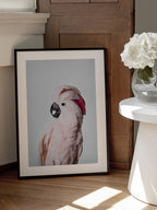 Pink Cockatoo