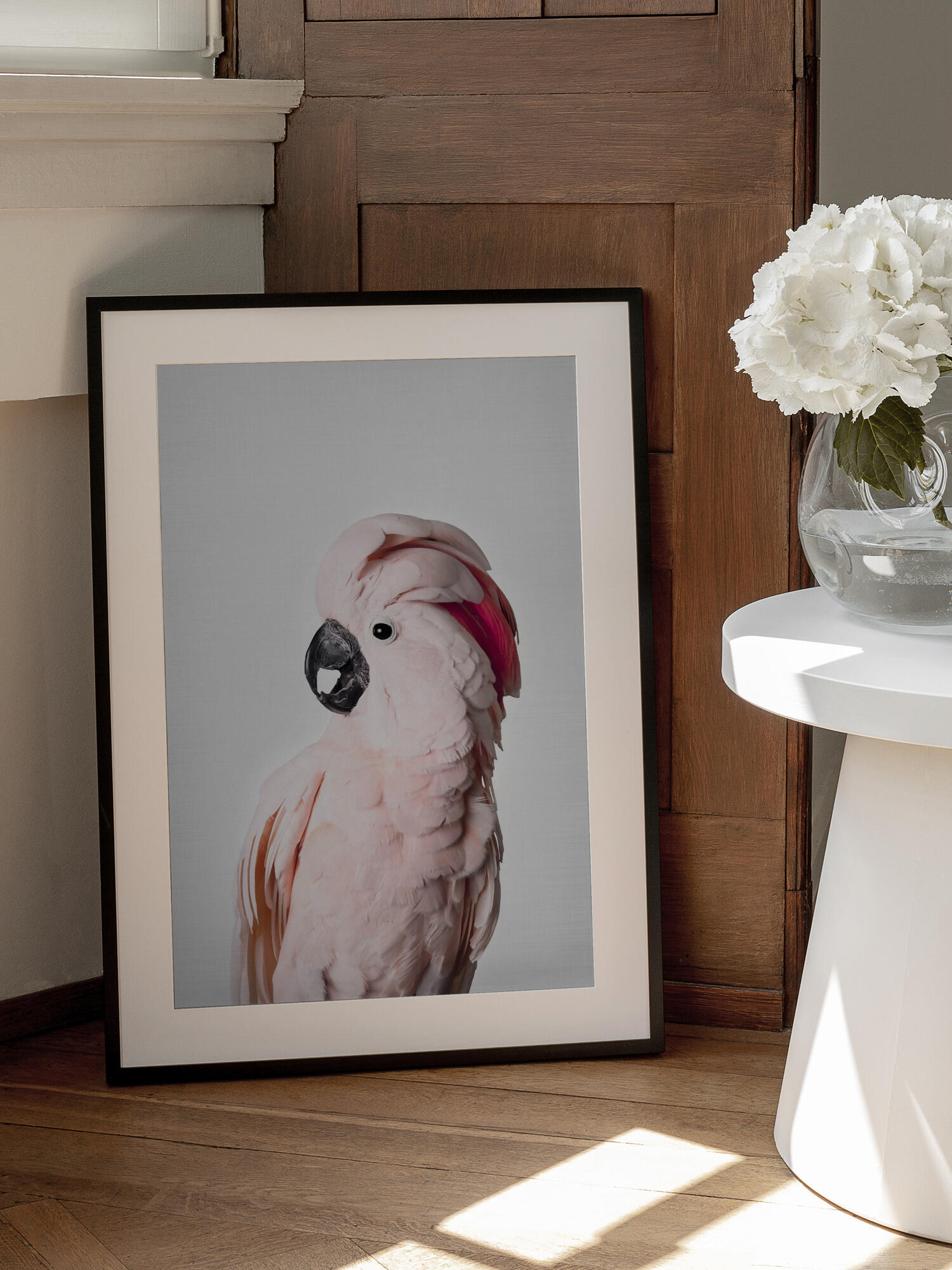 Pink Cockatoo