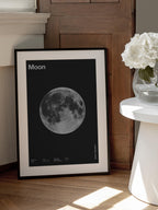 Solar System Moon