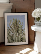 Cactus Symphony