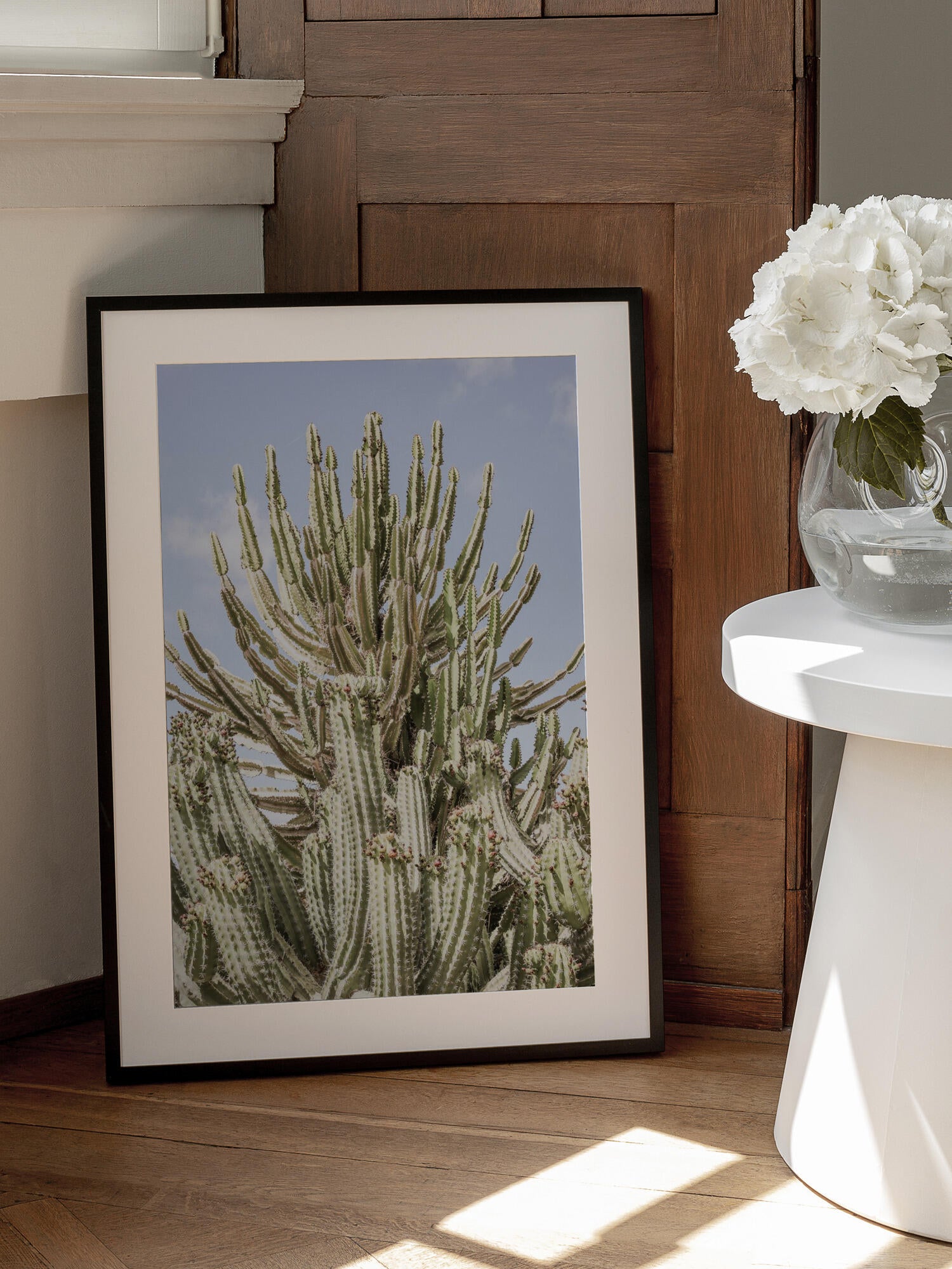 Cactus Symphony