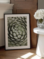 Geometric Succulent