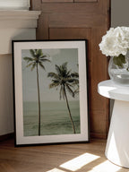Oceanside Palms