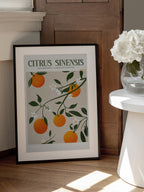 Orange Elegance