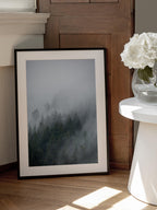 Foggy Morning 2