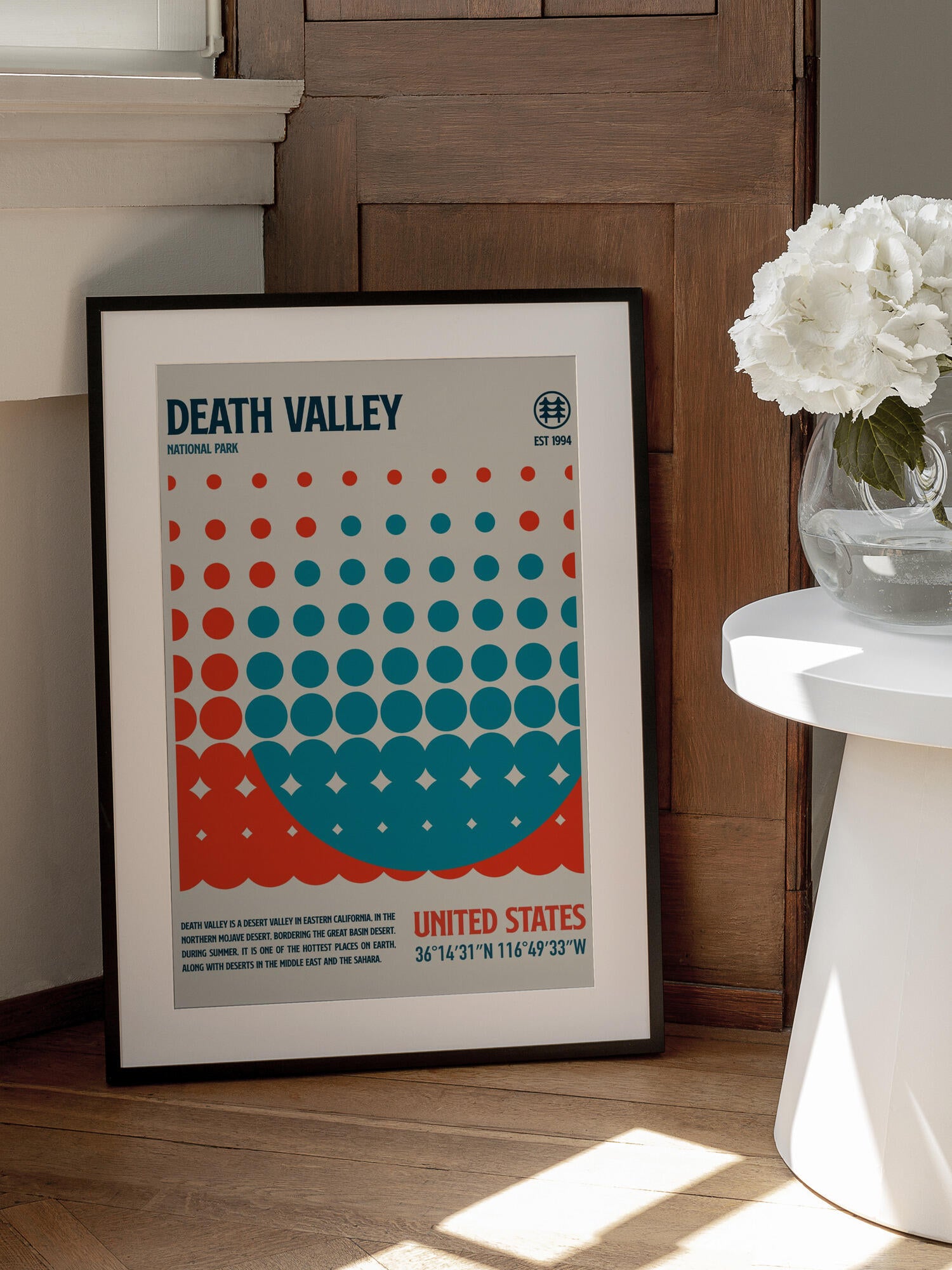 Death Valley National Park Travel Poster