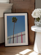 Palm Springs II