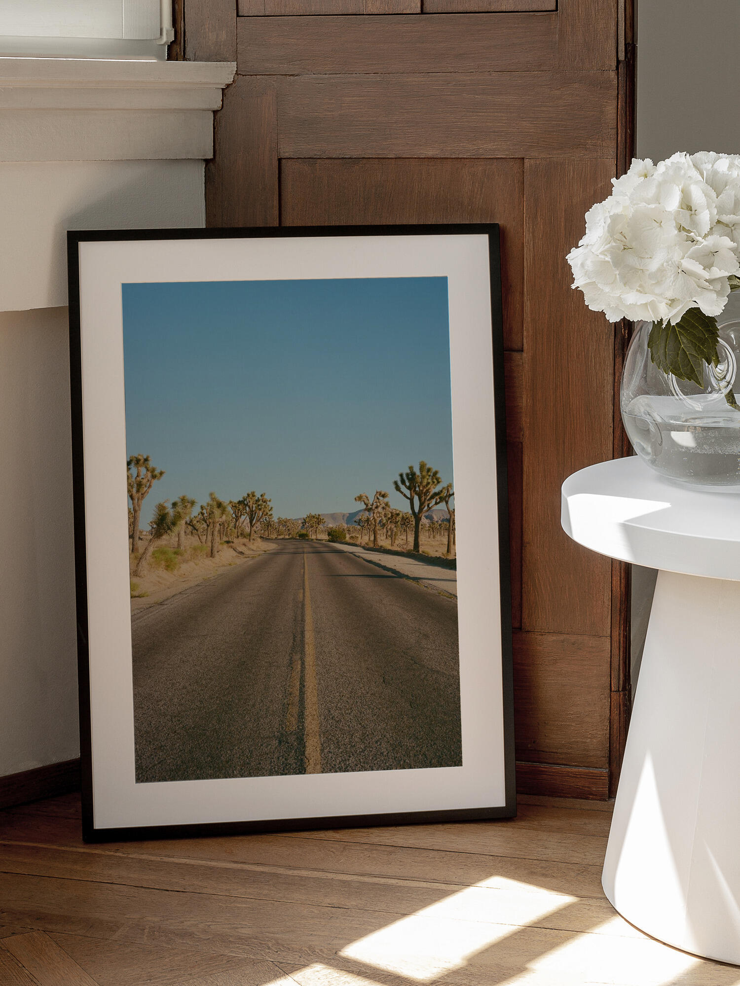 Joshua Tree Road II