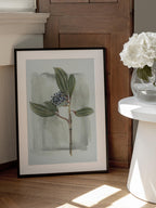 Viburnum davidii