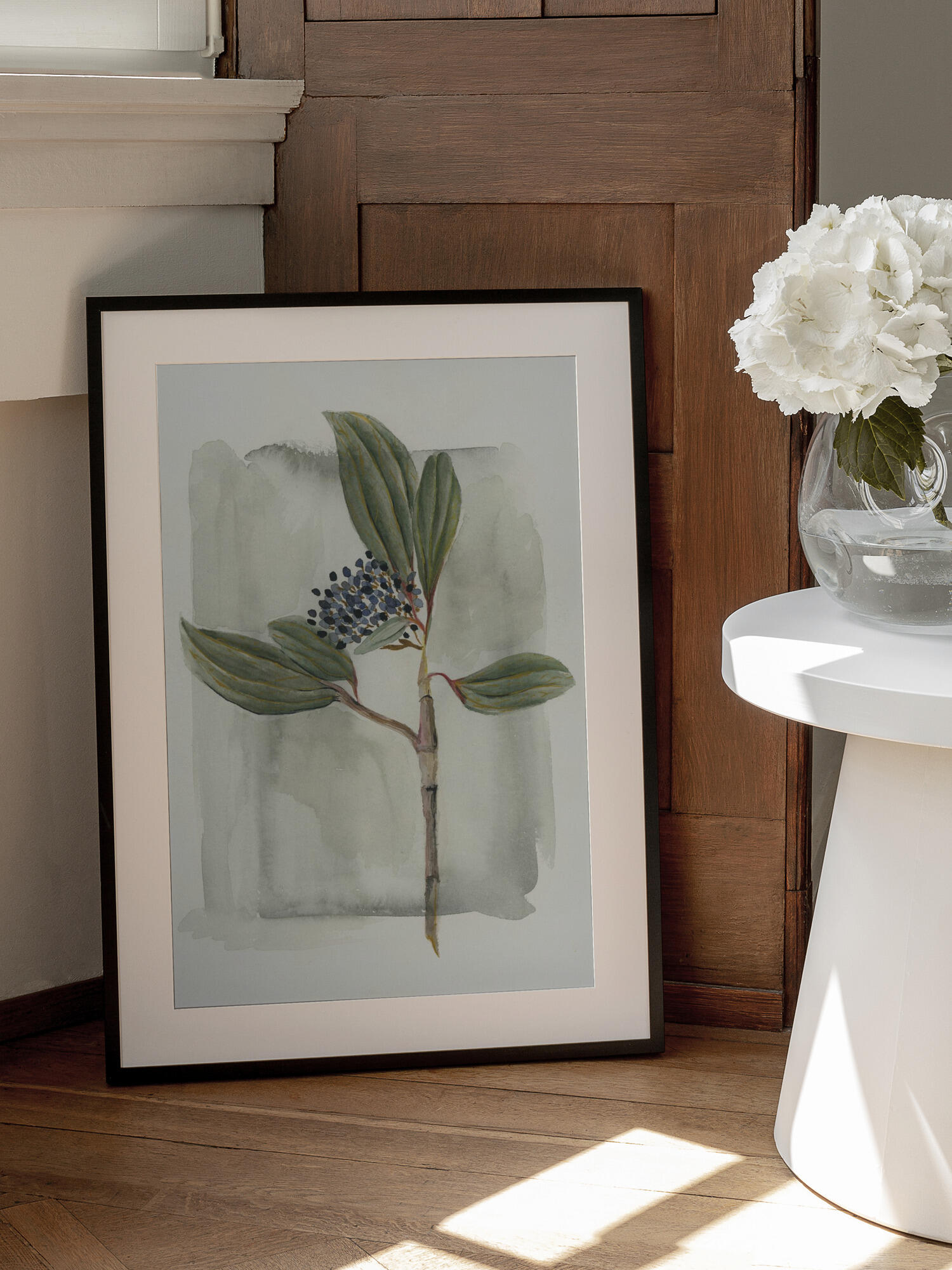 Viburnum davidii