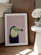 Toucan on Pink