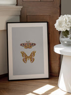 Moths