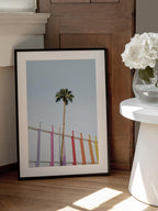Palm Spring Colors 2