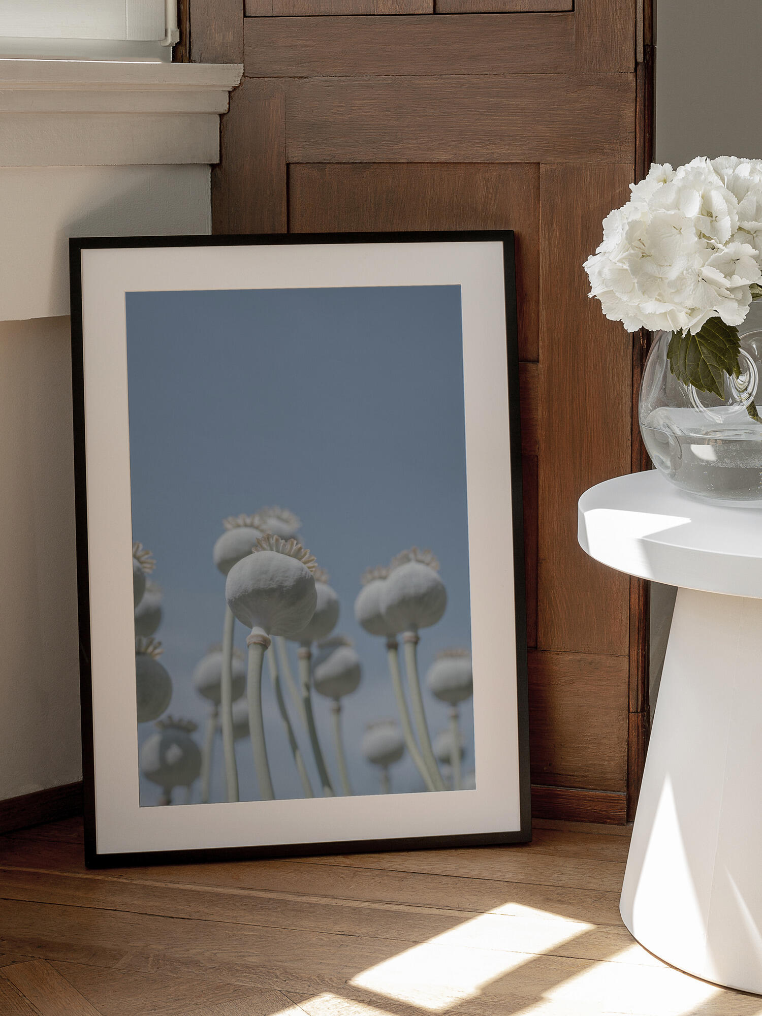 Poppyseed bulbs in mint and retro blue - nature photography