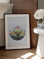 Protea Sunset Bloom