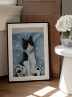Cute Tuxedo Cat